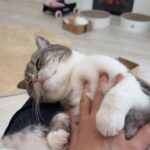 甘えんぼ大爆発中の可愛いもっちん！