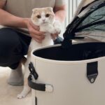 お留守番だと思ってたら今日は自分も病院に連れて行かれると気づいた猫がこうなっちゃいました…