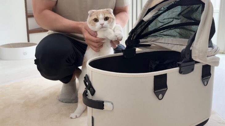 お留守番だと思ってたら今日は自分も病院に連れて行かれると気づいた猫がこうなっちゃいました…