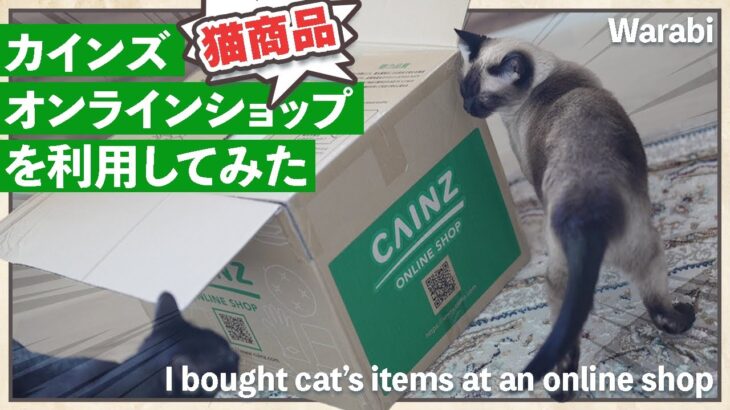 オンラインショップで猫商品購入【カインズ】