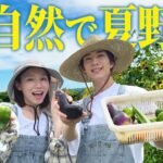 夏野菜と大自然が最高すぎる