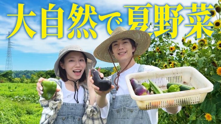 夏野菜と大自然が最高すぎる