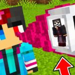 体の中に入るマインクラフト【 マイクラ / マインクラフト 】