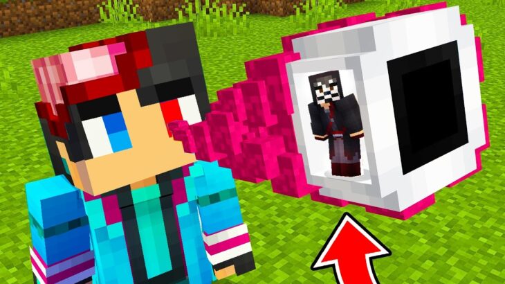 体の中に入るマインクラフト【 マイクラ / マインクラフト 】