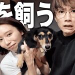 【ご報告】みゆ、犬飼いました