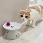 ボールを間違って飲み水に落としたら遊んでた猫がこうなっちゃいました…