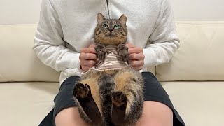 【ご報告】虐められて怪我してた猫の新しい家族について。