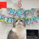 【祝】もちの6歳のお誕生日ライブ🎊🎂