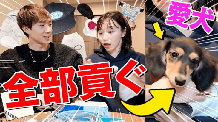 みゆの愛犬ハルに総額○○万円貢いだら可愛いが爆発して最高だった