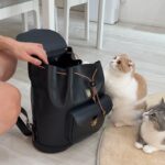 猫たちを家に置いて出張に行こうとしたら寂しくてまさかのこうなっちゃいました…